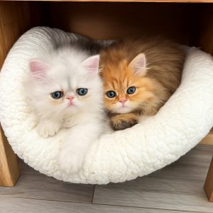 Vickie et Winnie