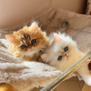 Vickie et Winnie